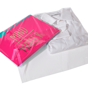 10" x 13" 1.6 mil Lip and Tape Bags